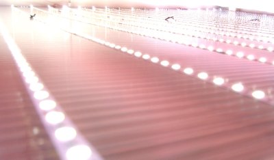 (image for) Led lights fo farmers