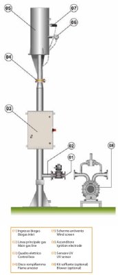 (image for) Biogas combustion flare